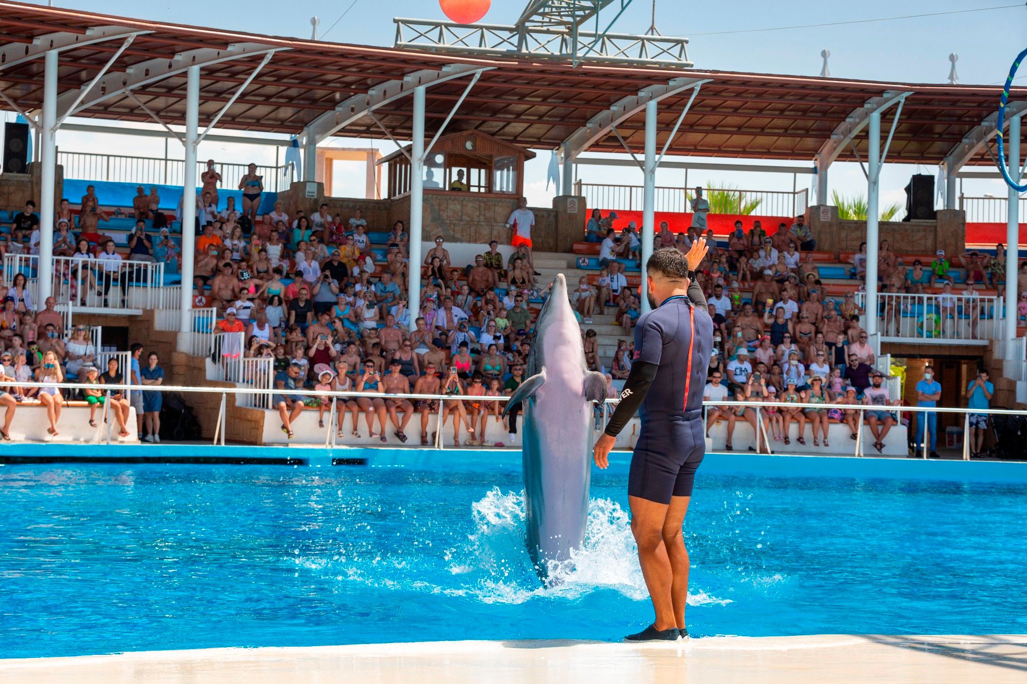 Alanya Sealanya Dolphin & Sea Lion Show with Hotel Transfers