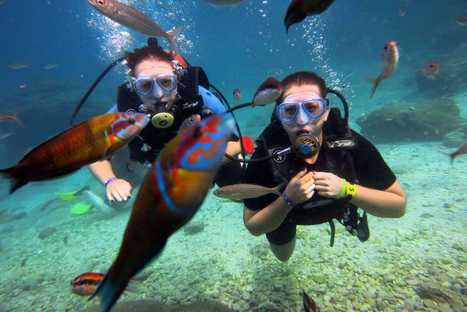 Alanya Full-Day Scuba Diving Experience with 2 Dives & Lunch