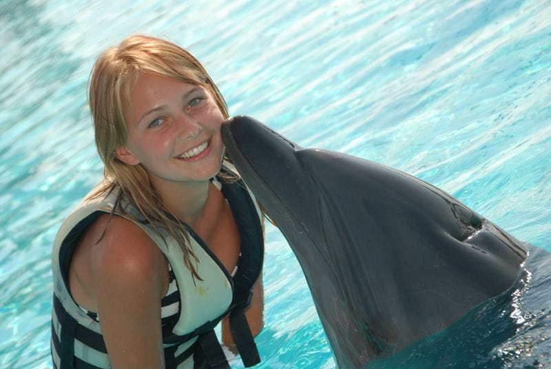 alanya dolphin show pickrota