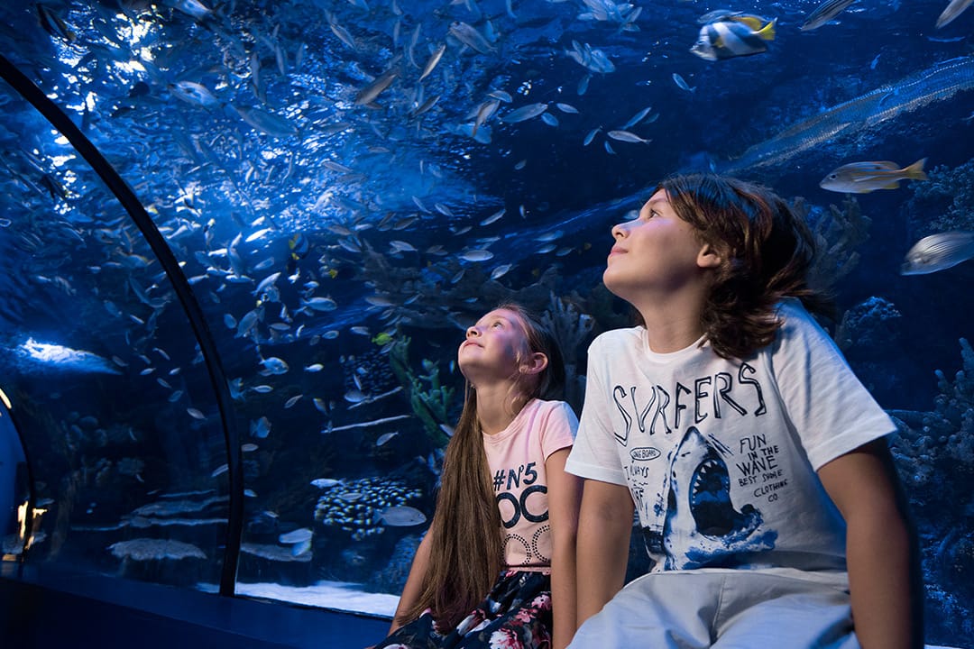 alanya to antalya aquarium pickrota