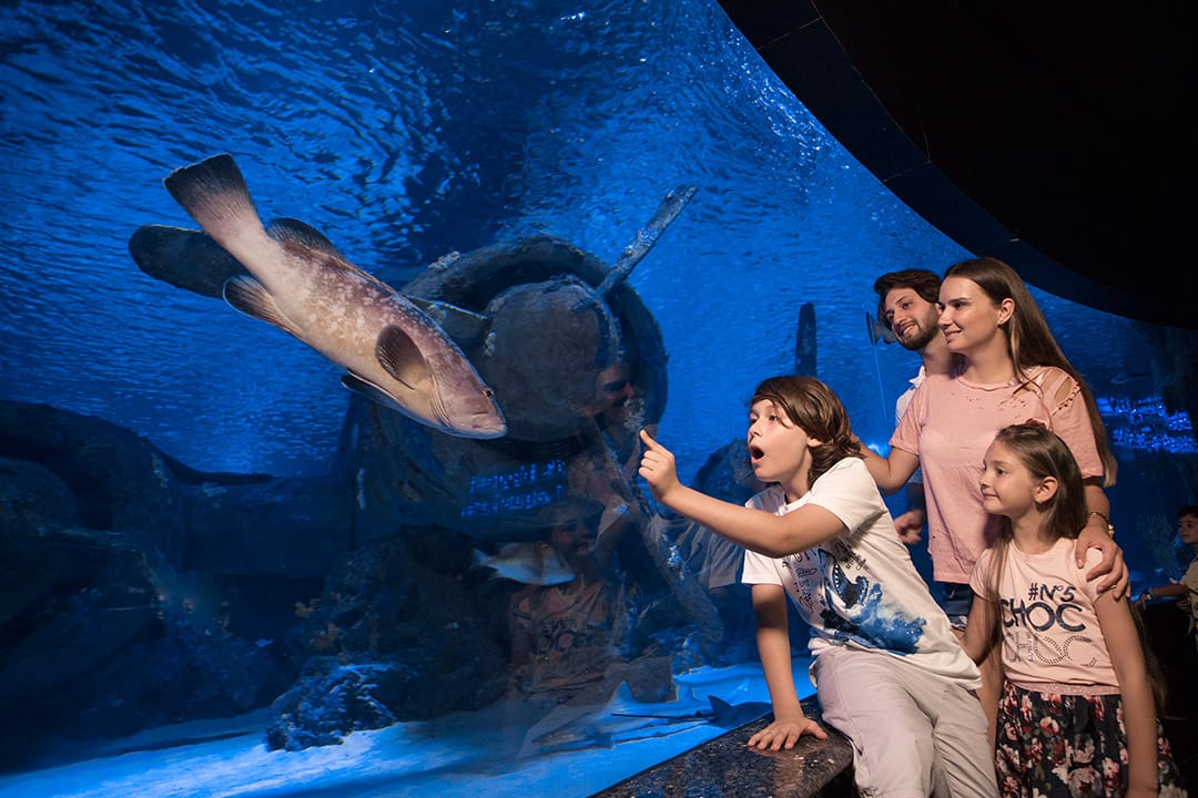 alanya to antalya aquarium pickrota