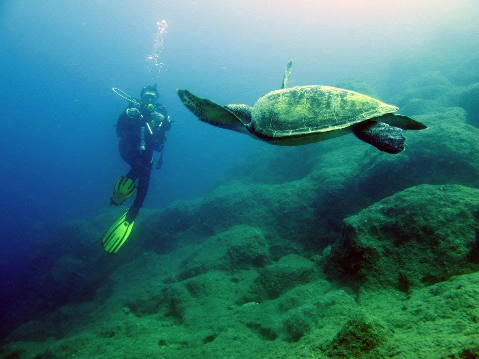 Alanya scuba diving pickrota