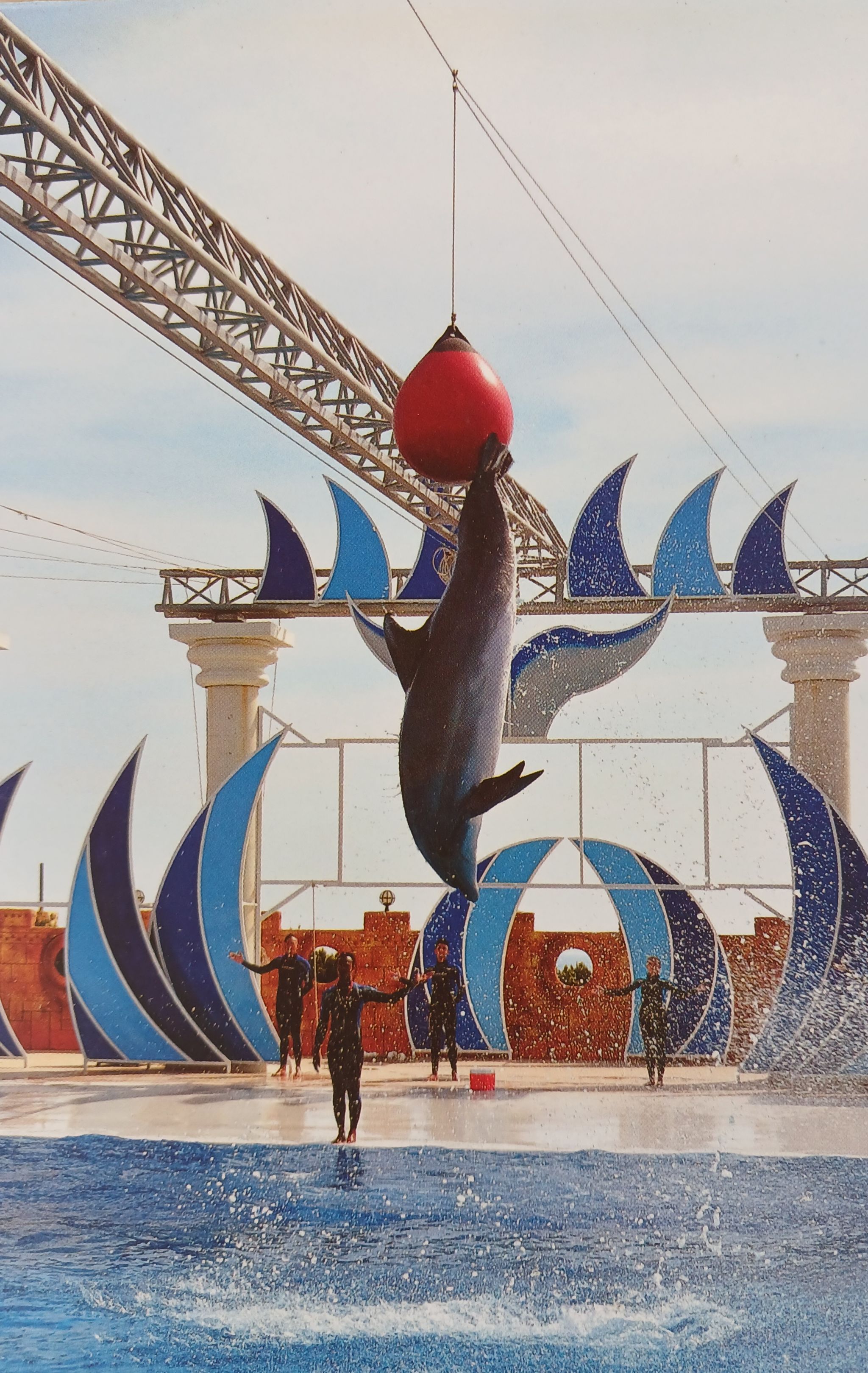 alanya dolphin show pickrota