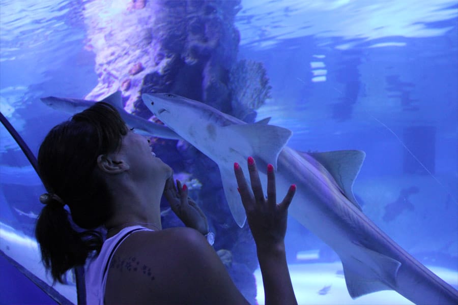 Alanya to Antalya Aquarium Tour: 131-Meter Tunnel & Face2Face Wax Museum
